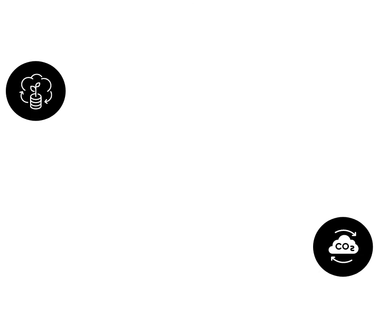 Emissions Circle